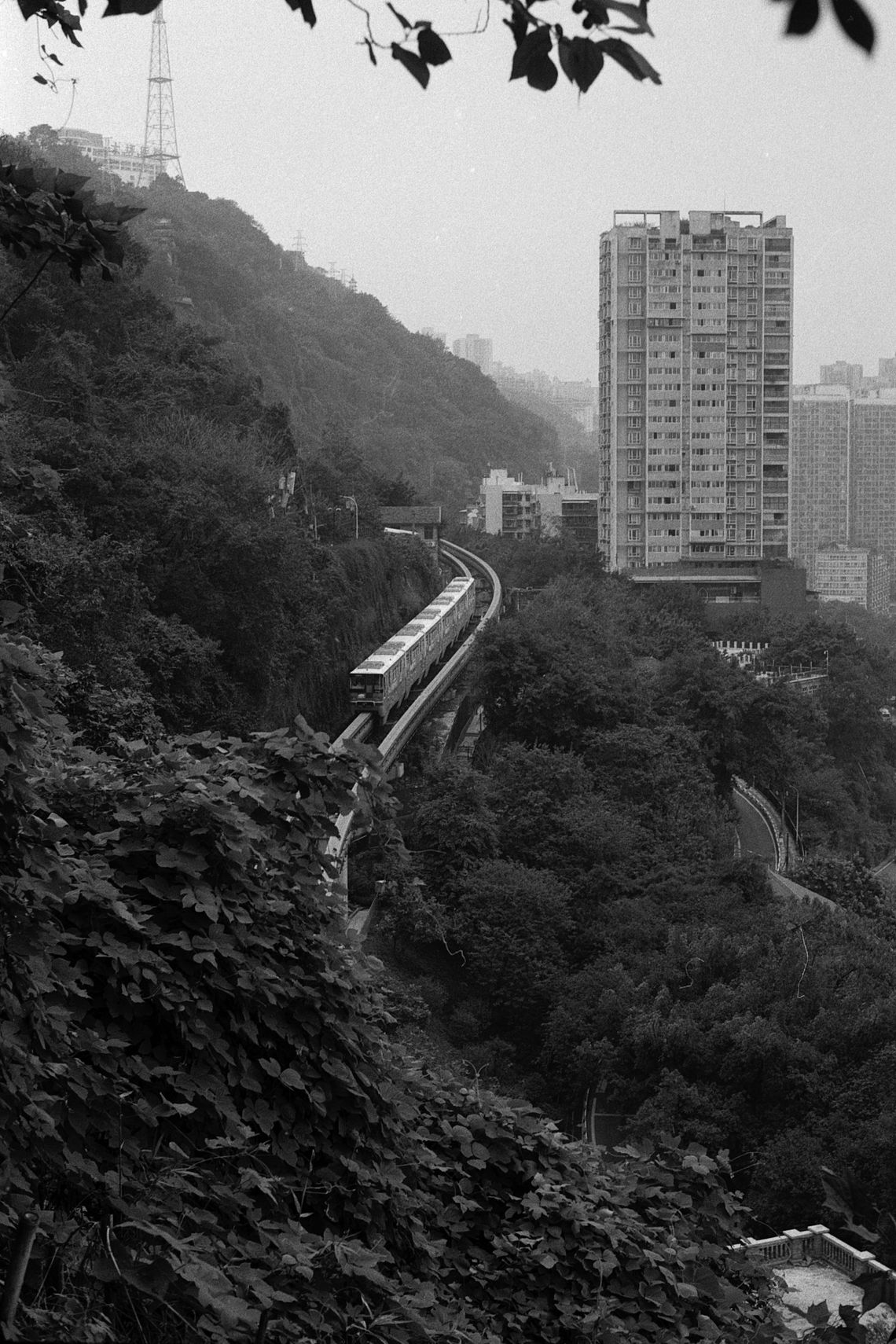 Tourist's View - Chongqing @2022.10